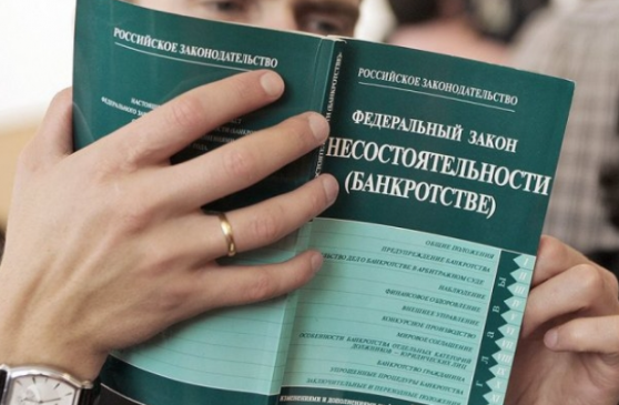  Процедура банкротства гражданина в РФ: основные плюсы и минусы Bancrotstvo1