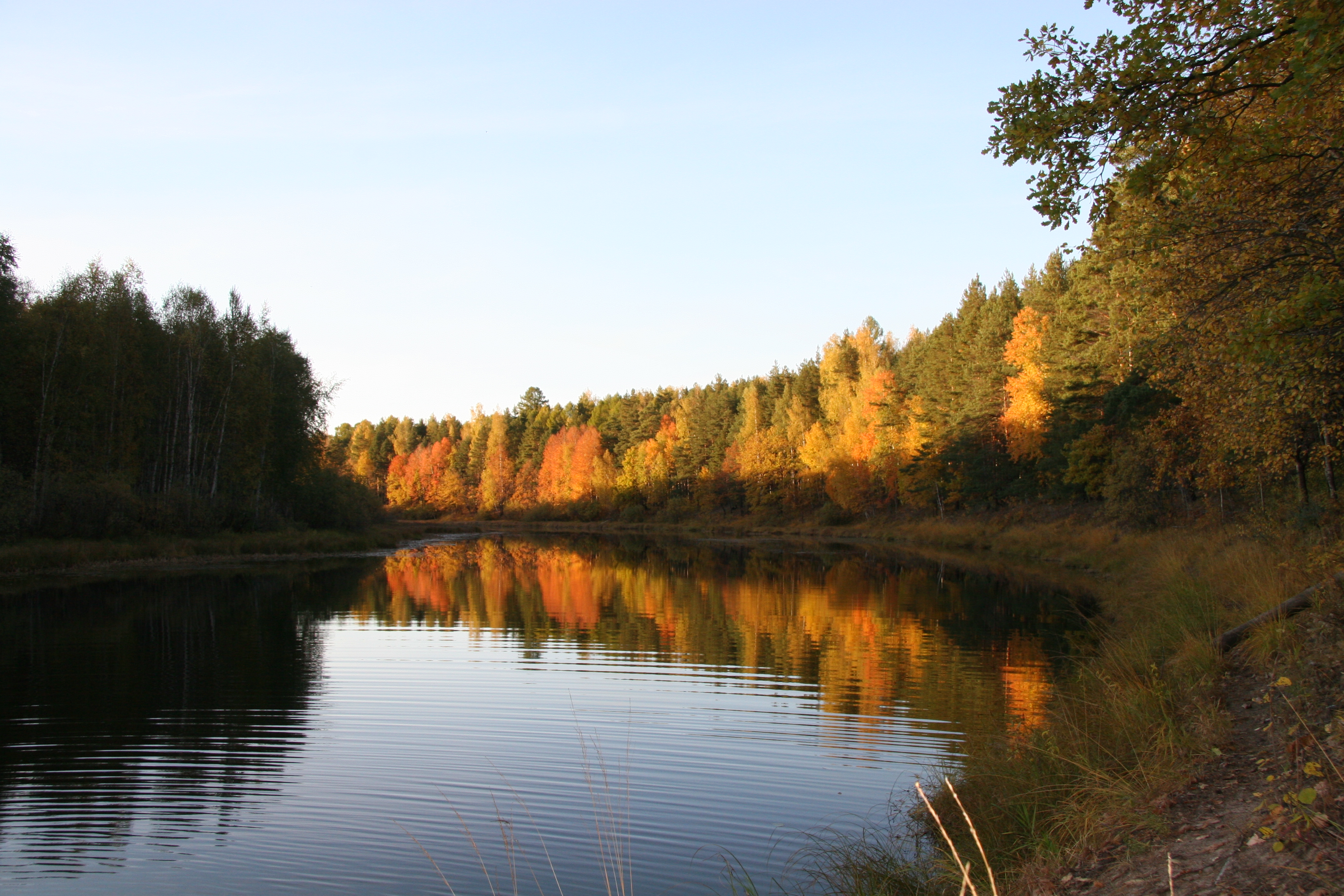 лесной курорт красные баки