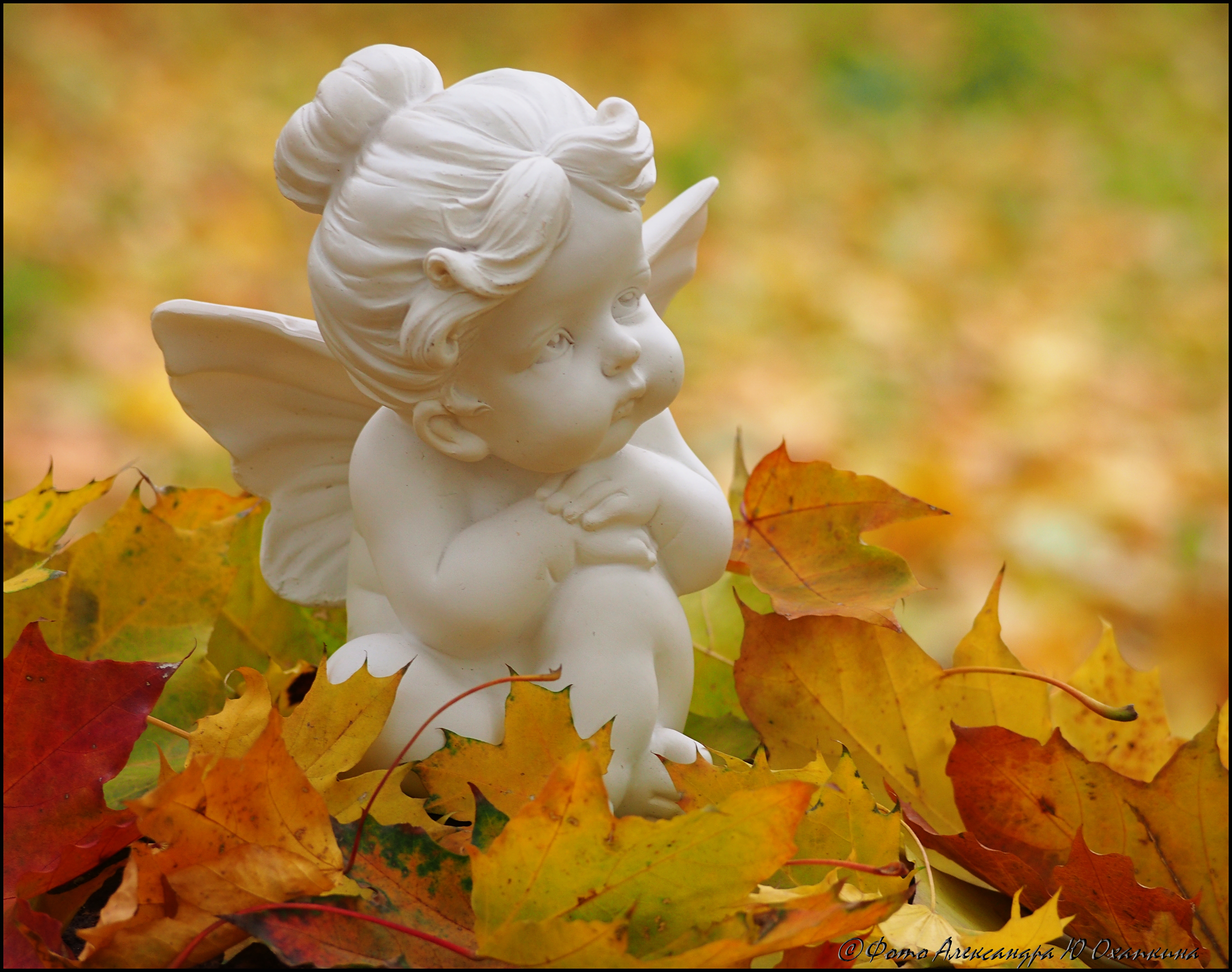 Ангел осенью
